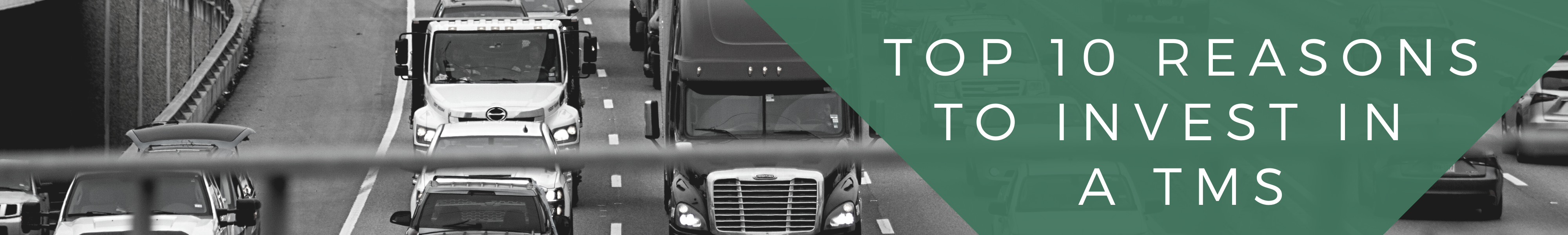 LP Header Top 10 Reasons to Invest in a TMS LP Header Top 10 Reasons to Invest in a TMS